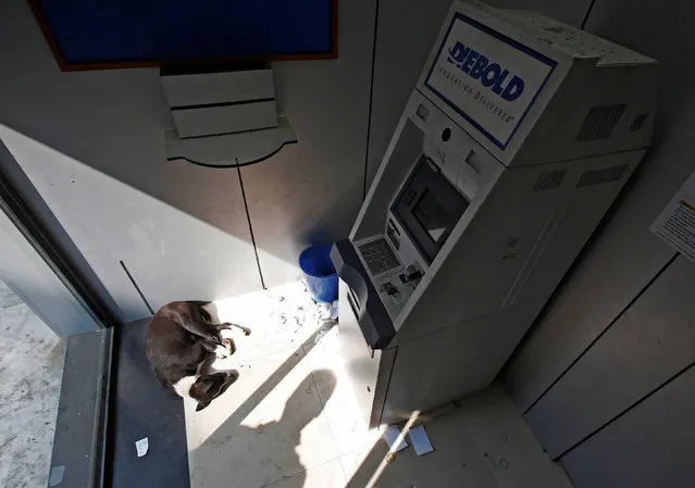 A man casts his shadow on the ground as a dog sleeps inside an ATM counter in Kolkata, India, November 12, 2016. (Photo by Rupak De Chowdhuri/Reuters)