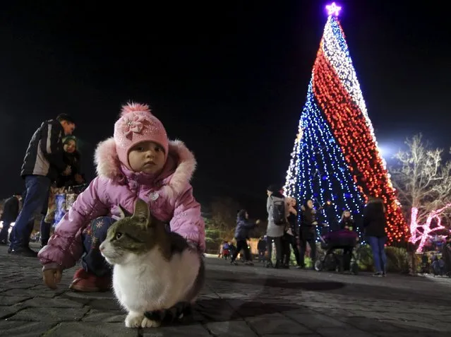 A girl sits with a cat near a Christmas tree at the Nakhimov square in the Black Sea port of Sevastopol, Crimea, December 27, 2015. (Photo by Pavel Rebrov/Reuters)
