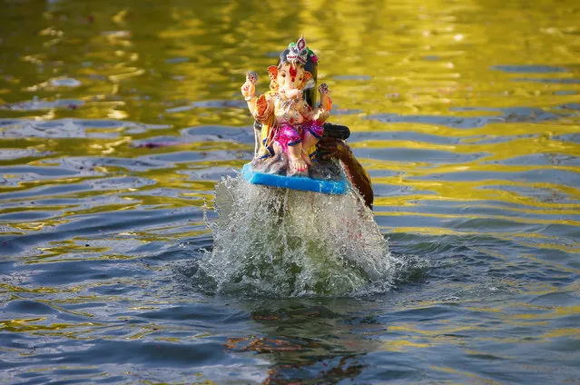 A devotee immerses an idol of the Hindu god Ganesh, the deity of prosperity, into a pond on the second day of the ten-day long Ganesh Chaturthi festival in Ahmedabad, India, September 14, 2018. (Photo by Amit Dave/Reuters)