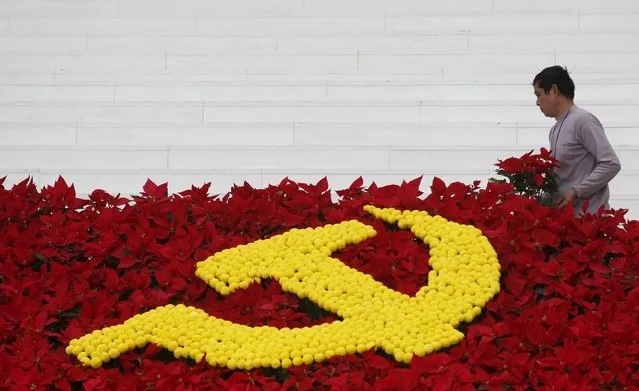 A man arranges flowers used to set up a decoration with the Communist logo promoting the upcoming 12th national congress of the Vietnam's Communist Party at the national convention center, the congress venue, in Hanoi, January 18, 2016. (Photo by Reuters/Kham)