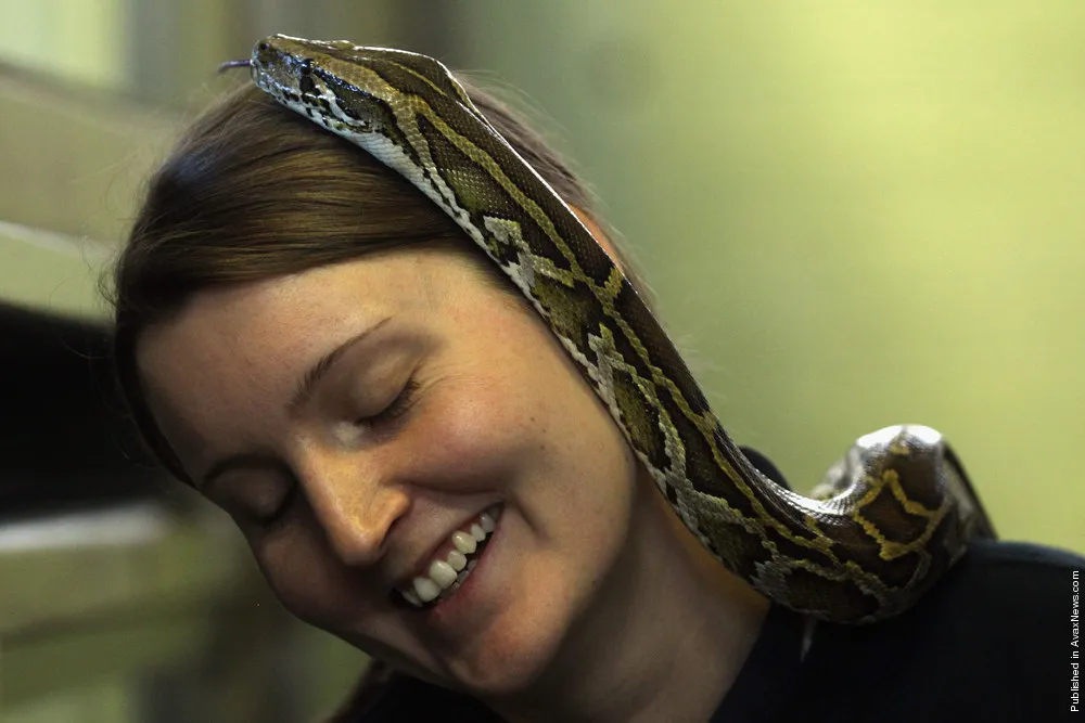 Heathrow Airport's Animal Reception Centre