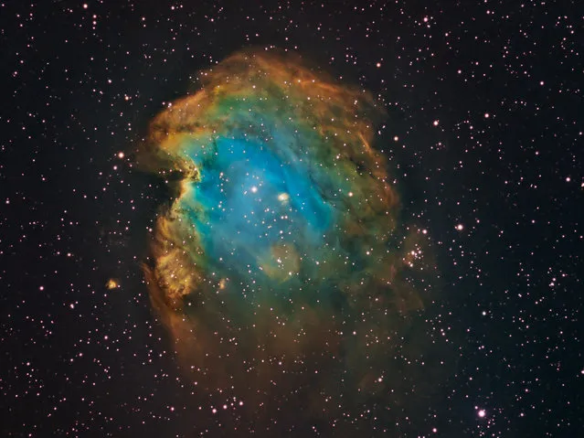 NGC2174 the Monkey Head Nebula in the constellation Orion is 6400 light years from Earth. This is an emission nebula surrounding star cluster NGC2174. (Bill Snyder)