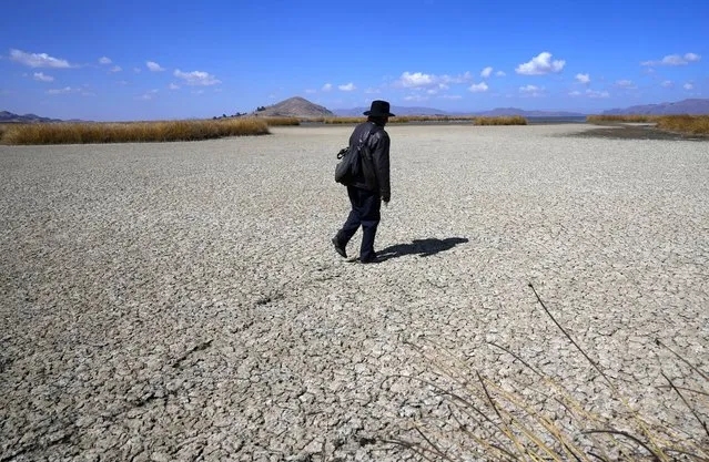 An Aymara man walks on the dry cracked bed of Lake Titicaca, in Huarina, Bolivia, Thursday, July 27, 2023.  The lake's low water level is having a direct impact on the local flora and fauna and is affecting local communities that rely on the natural border between Peru and Bolivia for their livelihood. (Photo by Juan Karita/AP Photo)
