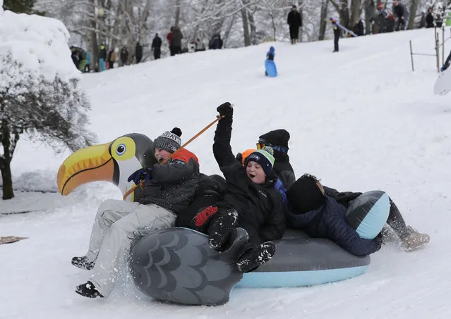 Sledders slide down a hill on an inflatable bird, Saturday, February 9, 2019, at Wright Park in Tacoma, Wash. A winter storm that blanketed Washington state with snow moved south into Oregon Saturday and meteorologists warned that yet more winter weather was on the way. (Photo by Ted S. Warren/AP Photo)