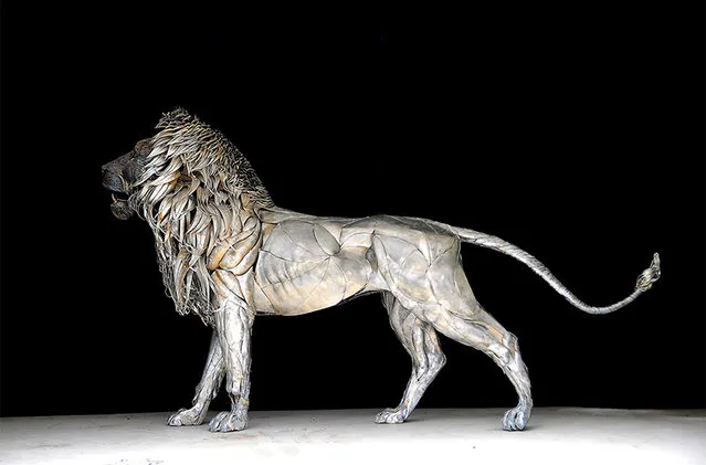 Metal Lion By Selcuk Yılmaz