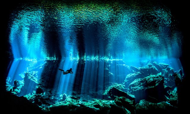 British underwater photographer of the year – winner. Out of the Blue by Nick Blake (UK). Location: Yukatán peninsula, Kukulkan. Kukulkan, one of the spectacular cenotes on Mexico’s Yucatán peninsula, is noted for its otherworldy light as sunbeams penetrate the darkness of the cave. Blake captured this diver in the centre of one of the beams. (Photo by Nick Blake/UPY2017)