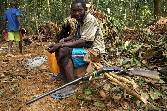 Poachers hunt at night, using flashlights to stun the duikers and shoot them as they stand paralysed in the light, February 2016. These poachers – all Bilo – killed seven duikers and one monkey in their night of hunting. (Photo by Susan Schulman/Barcroft Images)