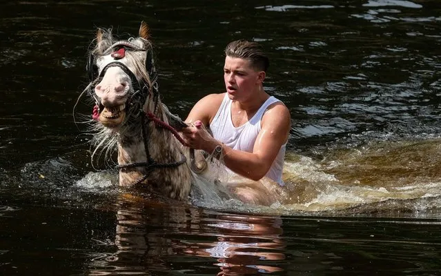 A youngster rides his horse through the River Eden after washing it on the first day of the Appleby Horse Fair on June 06, 2019 in Appleby, England. The fair is an annual gathering for Gypsy, Romany and travelling communities. The event has existed under the protection of a charter granted by James II since 1685 and it remains one of the key meeting points for these communities. Around 10,000 travellers are expected to attend the event who traditionally come to buy and sell horses and it offers an opportunity for the traveller community to come together to celebrate their heritage and culture. (Photo by Ian Forsyth/Getty Images)