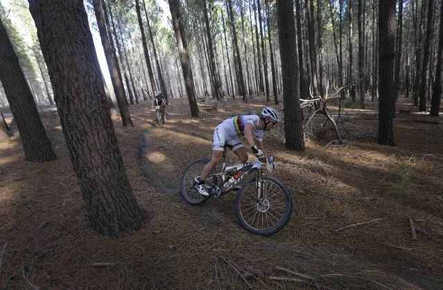 A rider navigates a narrow path through a forest area in stage 6 of the annual ABSA Cape Epic mountain bike stage race, Elgin, South Africa, 29 March 2014. (Photo by Kim Ludbrook/EPA)