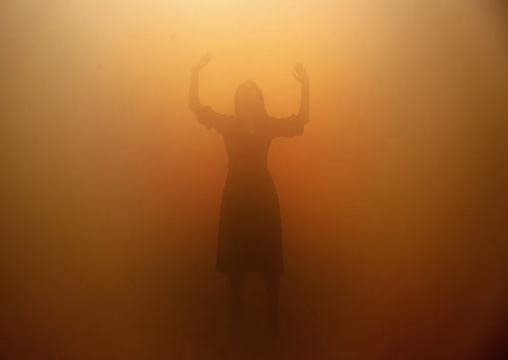 Some Photos: Silhouettes