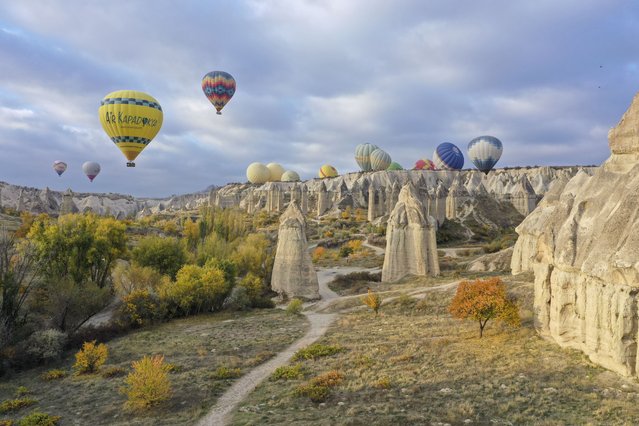 A drone photo shows hot-air balloons gliding over historical Cappadocia region, listed as one of the UNESCO World Heritage places, during autumn in Nevsehir province of Turkey on October 18, 2021. Cappadocia, is famous with its distinctive plateau, valleys, hills, unique fairy chimney volcanic cones, colorful frescos covering underground cities, boutique hotels, houses carved into rocks, rock churches, chapels, and shelters used by early Christians. (Photo by Behcet Alkan/Anadolu Agency via Getty Images)