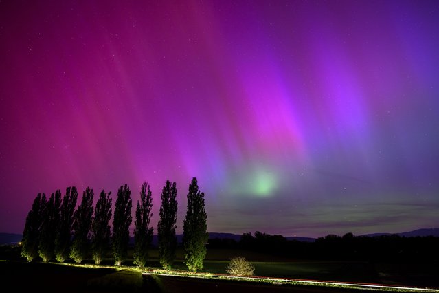 A car drives on the road and illuminates poplars under the Northern lights (aurora borealis) glow in the night sky above the village of Daillens, Switzerland, 11 May 2024. The National Oceanic and Atmospheric Administration (NOAA) of America has warned that the strongest geomagnetic storm for 20 years is set to hit Earth, making the Aurora Borealis, or Northern Lights, visible at much lower geomagnetic latitudes than usual. (Photo by Laurent Gillieron/EPA/EFE/Rex Features/Shutterstock)