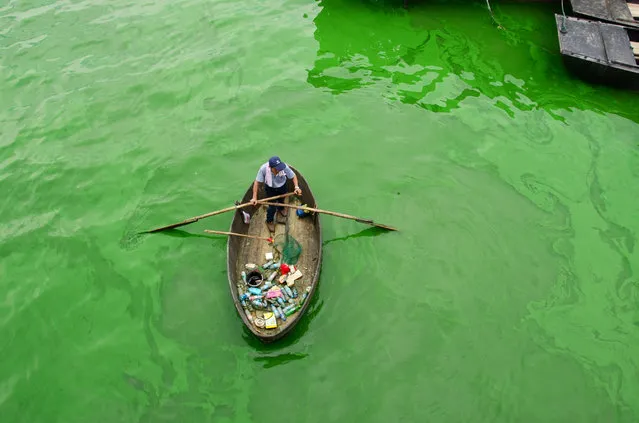 A fisherman boats in Chao Lake where thick cyanobacteria gather on the surface on August 5, 2015 in Chaohu, Anhui Province of China. As high temperature came in summar, part of water in Anhui Province's Chao Lake breeds large tracts of cyanobacteria which not only brought pollution to sense of smell, but also affected people's life. (Photo by ChinaFotoPress/ChinaFotoPress via Getty Images)