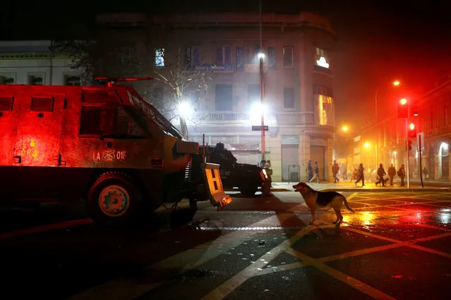 A dog barks at a riot police vehicle during a rally held to support women's rights to an abortion in Santiago, Chile July 25, 2017. (Photo by Ivan Alvarado/Reuters)