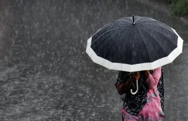 An Indian pedestrian walks under an umbrella during a heavy rainshower in the northern hill town of Simla on July 19, 2013. (Photo by AFP Photo)