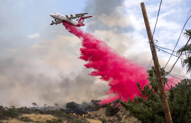 An airplane makes a drop on a hillside in Sun Valley neighborhood, north of Los Angeles on Saturday, September 2, 2017. The wildfire just north of downtown had grown to the largest in city history, Mayor Eric Garcetti said. (Photo by Paul Rodriguez/The Orange County Register via AP Photo)