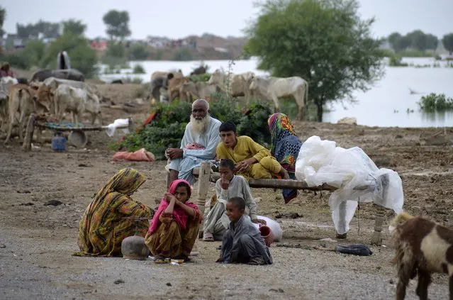 A displaced Pakistani family take refuge on a roadside after fleeing their flood-hit homes, in Nasirabad, a district of Pakistan's southwestern Baluchistan province, Monday, August 22, 2022. Flash floods caused by abnormally heavy monsoon rains have killed 777 people across Pakistan over the last two months, officials said Monday, as rescuers backed by troops raced against time to evacuate thousands of marooned people. (Photo by Zahid Hussain/AP Photo)