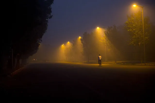 A cyclist pedals through the morning smog a day after Diwali festival, in New Delhi, India, Friday, October 20, 2017. Environmental pollution – from filthy air to contaminated water – is killing more people every year than all war and violence in the world. One out of every six premature deaths in the world in 2015 – about 9 million – could be attributed to disease from toxic exposure, according to a major study released Thursday, Oct. 19, 2017 in The Lancet medical journal. (Photo by Manish Swarup/AP Photo)