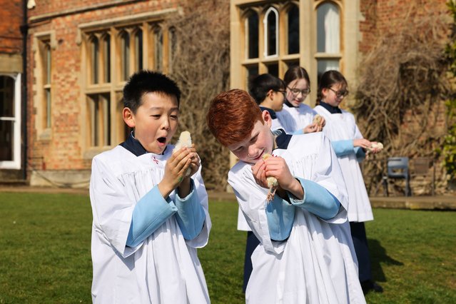 Rugby Choristers holding baby chicks at Bilton Grange Prep School in Rugby, UK on March 24, 2025. (Photo by Denise Maxwell Lensi Photography)