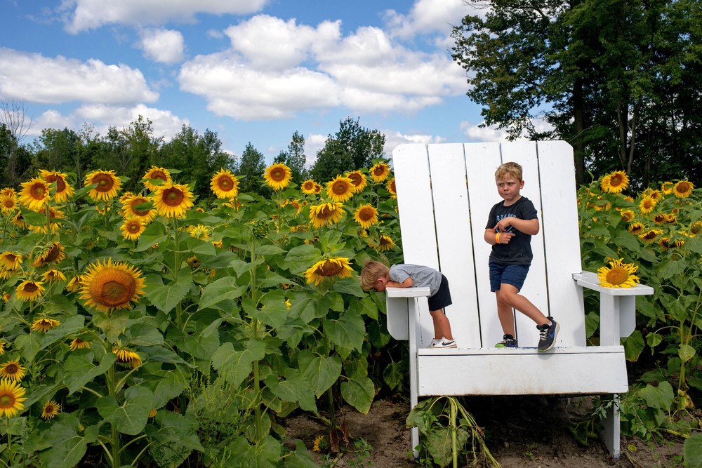 Some Photos: In Flowers