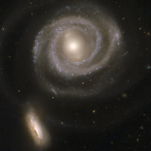 A pair of interacting galaxies consisting of NGC 5754, the large spiral on the right, and NGC 5752, the smaller companion in the bottom left. NGC 5754's internal structure has hardly been disturbed by the interaction. The outer structure does exhibit tidal features, as does the symmetry of the inner spiral pattern and the kinked arms just beyond its inner ring. (Photo by W. Keel/Reuters/NASA/ESA/Hubble Heritage Team/Hubble Collaboration/University of Alabama)