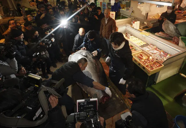 Workers of wholesaler Yamayuki cut the 405 kilogram (892-pound) bluefin tuna that they made a winning bid at the first auction of the year, near Tsukiji fish market in Tokyo Friday, January 5, 2018. The huge bluefin tuna has sold for 36.5 million yen ($320,000) in what may really be Tsukiji market's last auction at its current site in downtown Tokyo, local media reports said Friday. (Photo by Eugene Hoshiko/AP Photo)