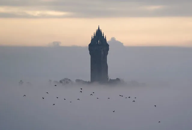 The Wallace Monument sits above the heavy fog, as the fog makes its way through the carse at Stirling, United Kingdom this morning, Tuesday, November 29, 2022. (Photo by Andrew Milligan/PA Images via Getty Images)