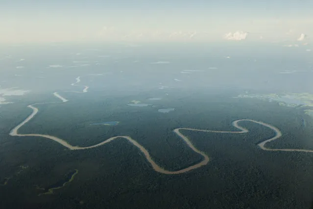 An aerial view of a tributary of the Solimoes river, one of the main tributaries of the Amazon, in the Mamiraua nature reserve near Tefe, Brazil. (Photo by Bruno Kelly/Reuters)