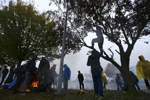 Migrants camp in the no man's land as they wait to enter Slovenia from Trnovec, Croatia October 19, 2015. The Balkans faced a growing backlog of migrants on Monday, thousands building up on cold, wet borders after the closure of Hungary's southern frontier diverted them to Slovenia. (Photo by Srdjan Zivulovic/Reuters)