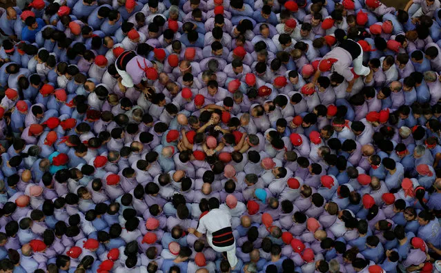 Colla Jove Xiquets de Tarragona start to form a human tower called “castell” during a biannual competition in Tarragona city, Spain, October 2, 2016. (Photo by Albert Gea/Reuters)