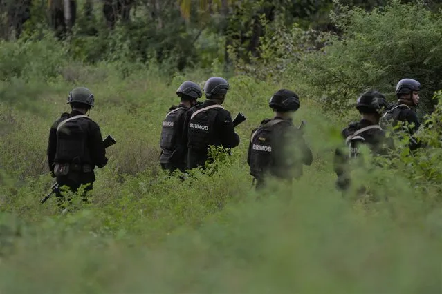 The police conducted a search for fugitive terrorists at the location suspected of being their hiding place in Mamboro Village, North Palu, Central Sulawesi Province, Indonesia, on November 8, 2020. A joint apparatus consisting of the Special Detachment 88 Anti-terror Police, Brimob Polri and TNI pursued two men who were suspected of being members of a terrorist group who were on the Poso Wanted List (DPO) and hiding around the area. (Photo by Mohamad Hamzah/NurPhoto via Getty Images)