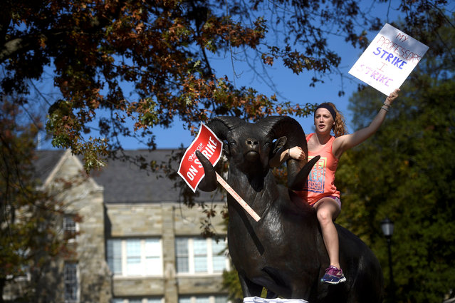 Grace Crowley, 21, a West Chester University senior, demonstrates with university employees from the APSCUF union representing 5,500 Pennsylvania university and college employees after failing to reach a contract deal with the state education system in West Chester, Pennsylvania, U.S., October 19, 2016. (Photo by Mark Makela/Reuters)