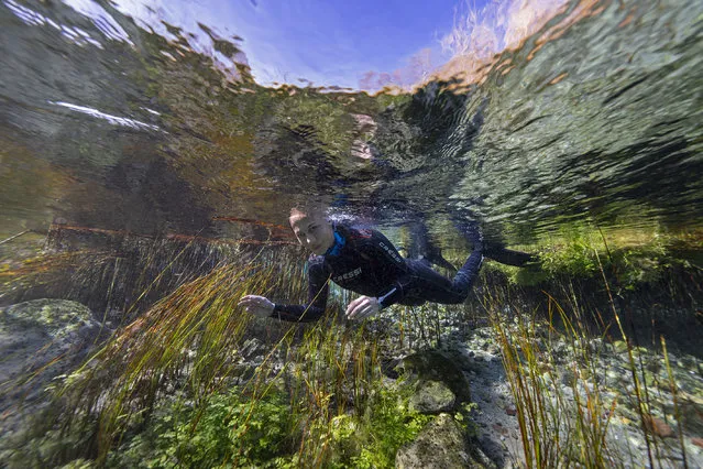 An underwater view of Sakaryabasi, which was designated a “Natural Site-Qualified Natural Protection Area” by the Ministry of Environment and Urbanization in 2020 and is the beginning of Sakarya River, is seen in Eskisehir, Turkiye on March 21, 2023. (Photo by Tahsin Ceylan/Anadolu Agency via Getty Images)