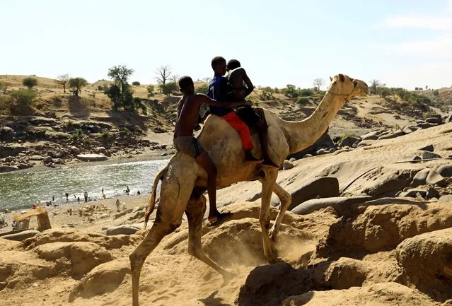 Ethiopians who fled the ongoing fighting in Tigray region, use a camel near the Setit river on the Sudan-Ethiopia border in the Hamdayet village in eastern Kassala state, Sudan on December 15, 2020. (Photo by Mohamed Nureldin Abdallah/Reuters)