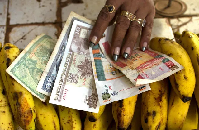 In this August 30, 2013 file photo, a food vendor spreads out convertible pesos, known as CUCs, the two bills on the right, and regular Cuban pesos at her stand in a vegetable market in Havana, Cuba. There is a dual-currency system featuring one type of Cuban peso worth 4 cents and another that is nearly a dollar. The system was designed to use the less valuable “national money” to insulate the state-run, egalitarian internal market while trade with the outside world is done with pricier “convertible pesos”. President Raul Castro called for elimination of the dual currencies from the beginning of his presidency, but never got around to it. (Photo by Ramon Espinosa/AP Photo)