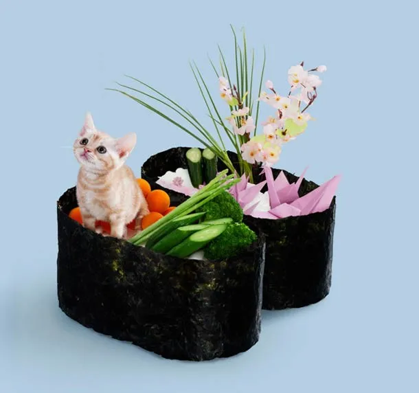 Sushi Cats by Tange & Nakimushi Peanuts