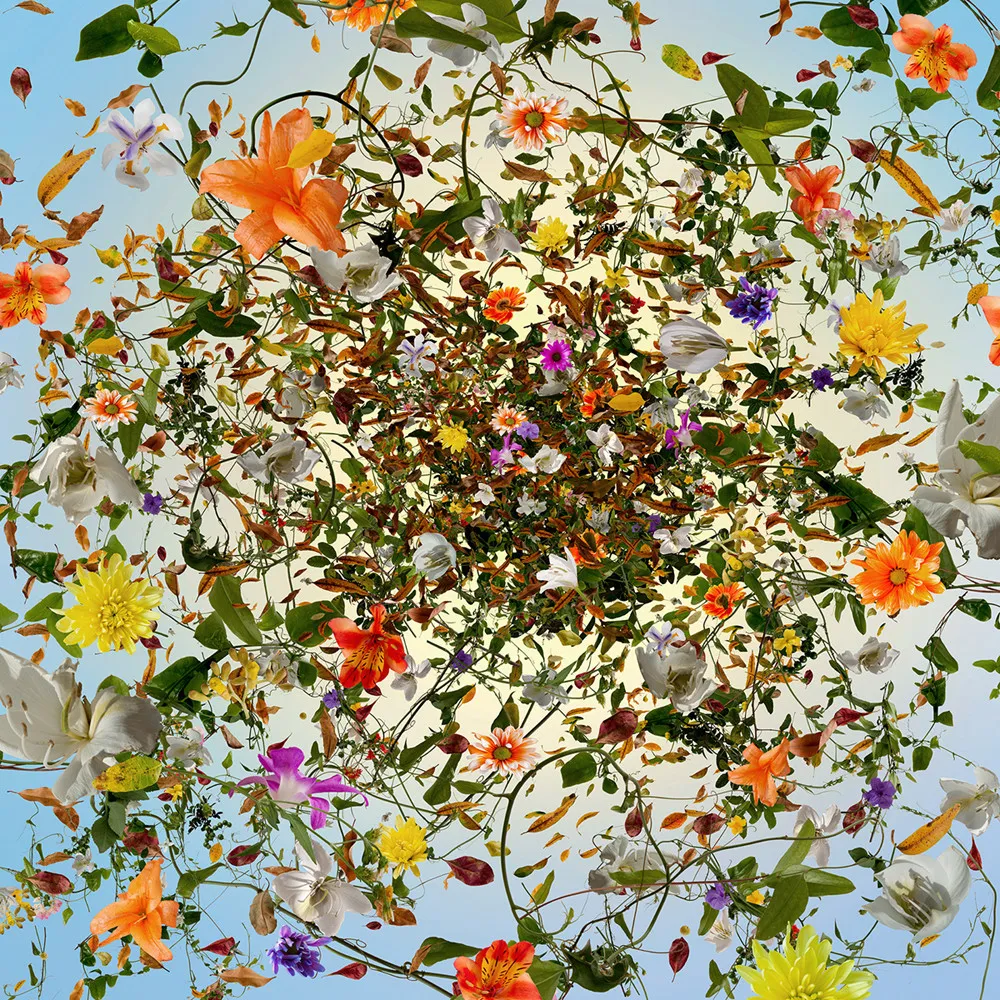 Innovative Photo Fusion by Ysabel LeMay 