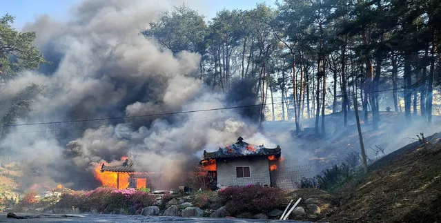 A view shows buildings being burnt down by wildfire in Gangneung, South Korea on April 11, 2023. (Photo by Yonhap via Reuters)