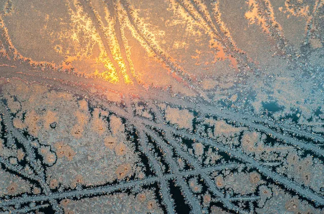 A colourful sunrise seen through a car window covered by hoar frost near Sieversdorf, Brandenburg, Germany February 13, 2016. (Photo by Patrick Pleul/EPA)