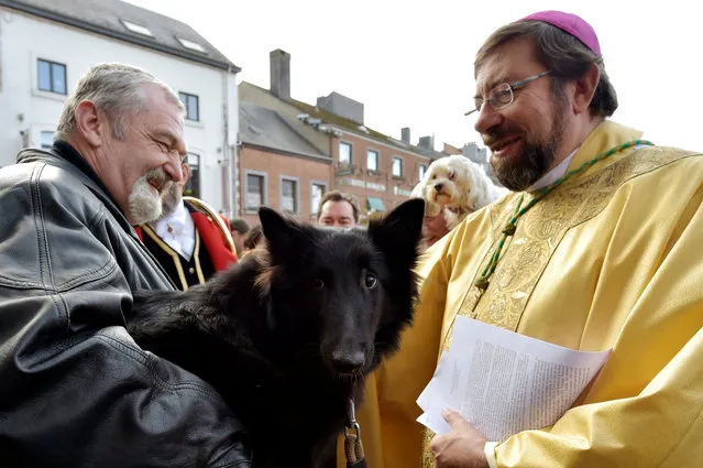 A Belgian Shepherd Groenendael dog is being blessed during a religious service and blessing ceremony for animals, outside the Basilica of St Peter and Paul in Saint-Hubert, Belgium, November 3, 2016. (Photo by Eric Vidal/Reuters)