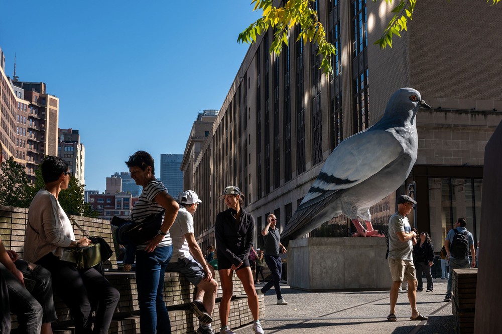 Pictures of the Year 2024, Part 202/240