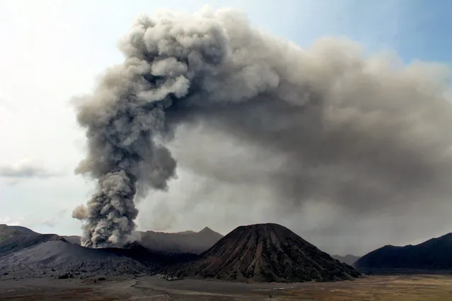 Mount Bromo spews volcanic material and ash into the air during an eruption in Probolinggo, East Java, Indonesia 15 December 2015. Indonesian authorities raised the alert status of the Mount Bromo after the volcano's activities increased. (Photo by EPA/Suryanto)