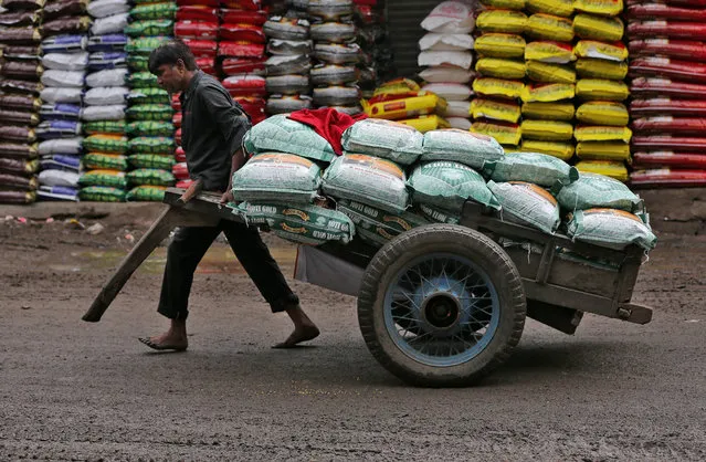 A labourer pulls a handcart loaded with sacks of lentils at a grain market in Ahmedabad, India, July 12, 2018. (Photo by Amit Dave/Reuters)