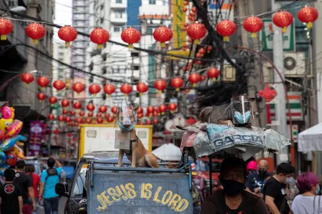 Dogs wearing face masks and face shields sit on top of a rickshaw as it passes through Chinatown in Manila, Philippines, February 11, 2021. (Photo by Eloisa Lopez/Reuters)