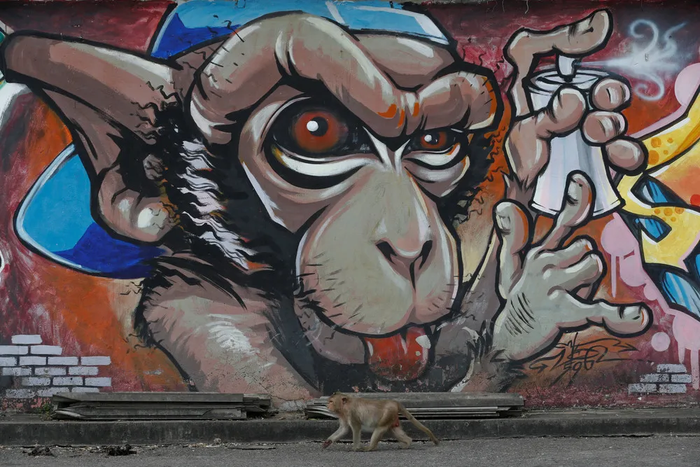 Monkey Buffet Festival 2016