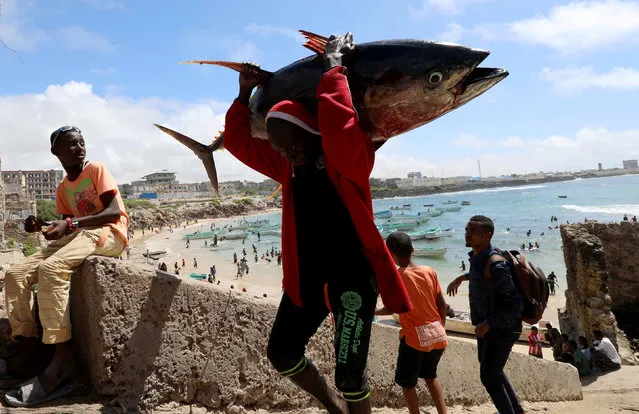 A fisherman carries his catch near a fishing port in Mogadishu, Somalia on September 14, 2018. (Photo by Feisal Omar/Reuters)