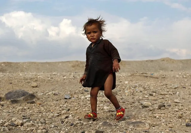 An Afghan internally displaced child stands outside a shelter on the outskirts of Jalalabad city, January 26, 2015. (Photo by Reuters/Parwiz)