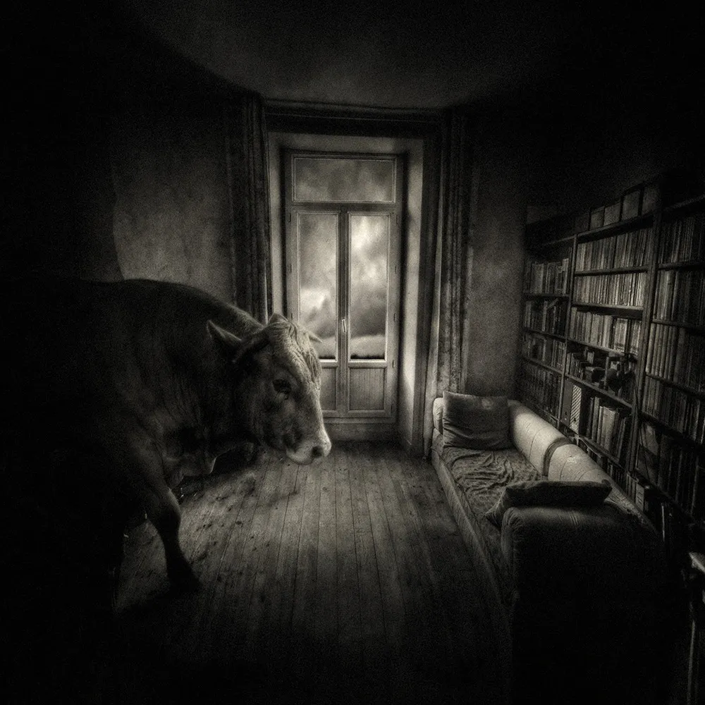 Photo Art by Yves Lecoq, Part 2