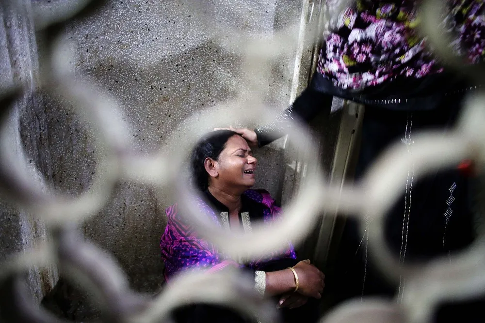 The Week in Pictures: November 22 – November 29, 2013 (79 Photos)