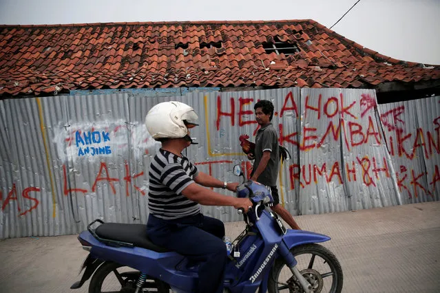A man holds a chicken as he walks past a fence with graffiti referring to Jakarta Governor Basuki Tjahaja Purnama by his nickname, at Luar Batang district in Jakarta, Indonesia, November 11, 2016. The words read, “Ahok is Dog” and “Ahok bring back our house”. (Photo by Reuters/Beawiharta)